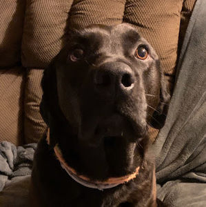 Meet your Posher, Kathy